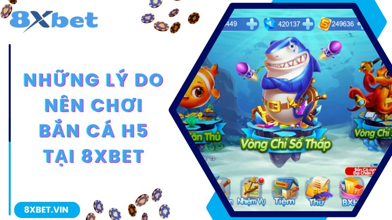 Bắn Cá H5 – Chinh Phục Đại Dương Khám Phá Kho Báu Cùng 8Xbet 2 Những lý do nên chơi bắn cá H5 tại 8Xbet